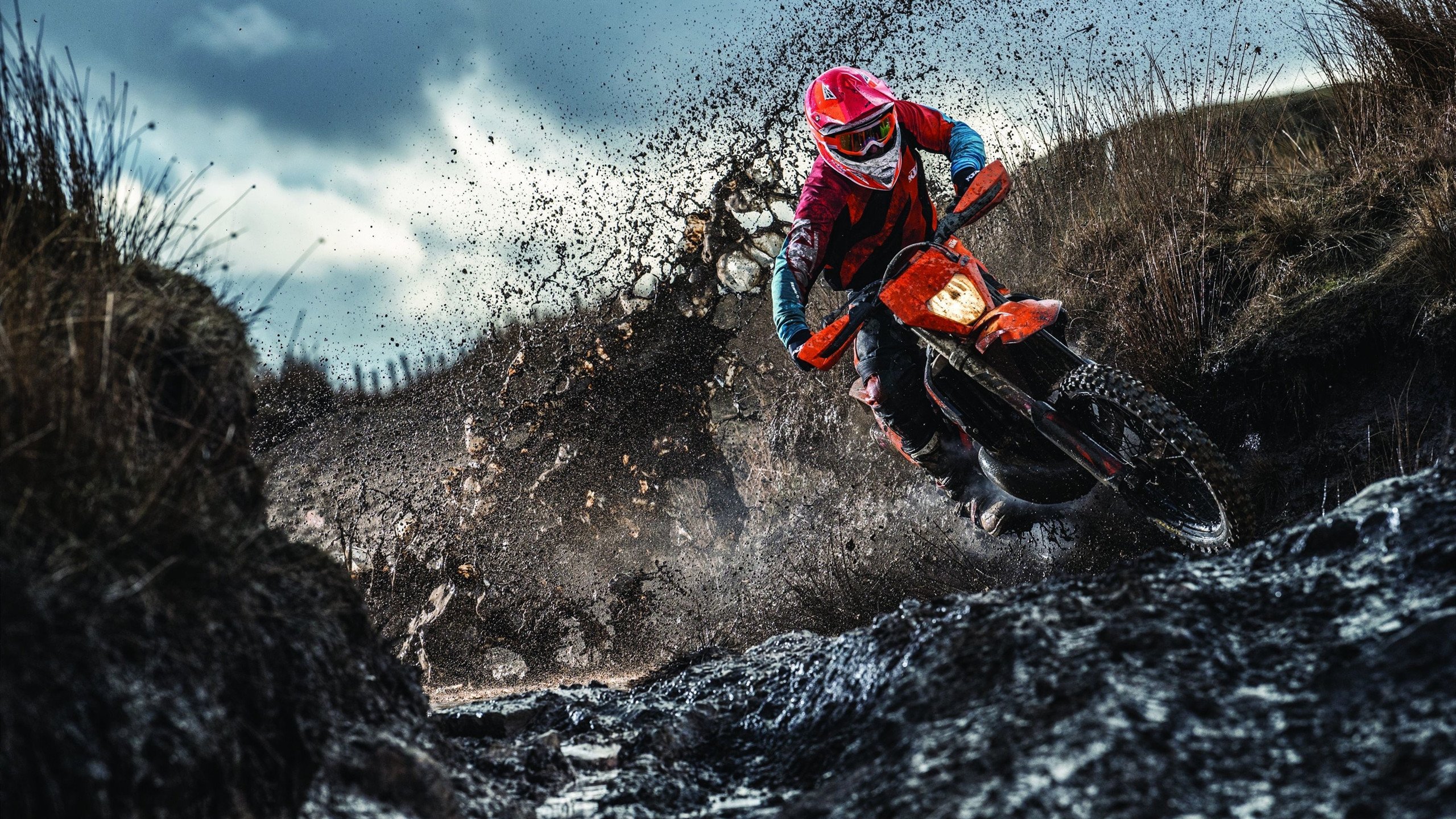 开云体育在线登入-WRC积分榜：冠军争夺战逐渐白热化，wrc冠军是谁